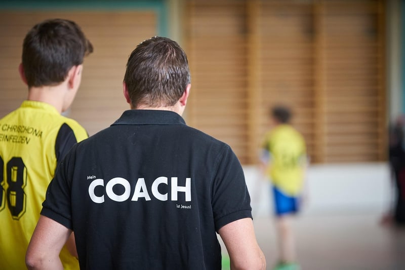 Experienced mentors